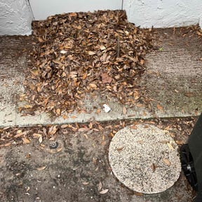 Leaf Removal by Israel&#039;s lawncare reviewed on September 28, 2025