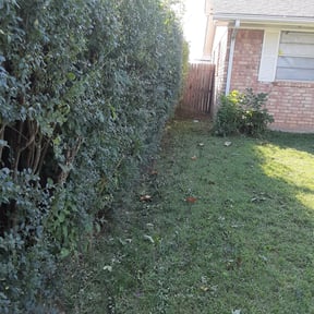 Bush Trimming by Happy Face Landscaping reviewed on August 17, 2025