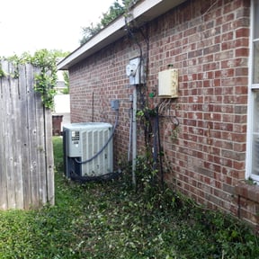 Bush Trimming by A&j lawn care service reviewed on August 20, 2025