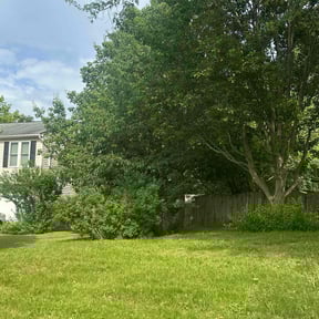 Bush Trimming by SON SHINE LAWNS LLC reviewed on August 15, 2025