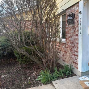 Bush Trimming by Holts landscaping reviewed on April 6, 2026