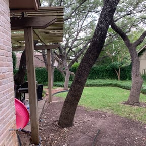 Bush Trimming by The Singing Lawn Care Guy reviewed on August 20, 2025