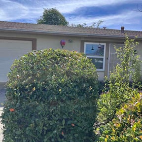 Bush Trimming by Jorge landscaping reviewed on February 26, 2026