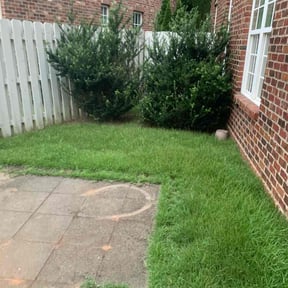 Bush Trimming by El Caribe Lawn & Palms reviewed on August 19, 2025