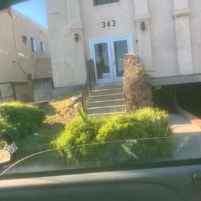 Bush Trimming by It's Electric Lawn Care reviewed on August 17, 2025