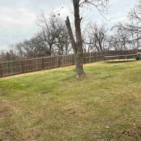 Leaf Removal by Mareana Lawncare LLC reviewed on April 5, 2026