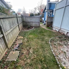 Leaf Removal by Rowles Scapes reviewed on September 26, 2025