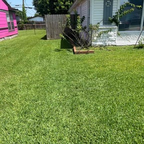 grass maintenance by 242 Lawn Care reviewed on August 20, 2025