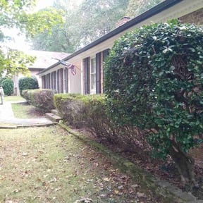 Bush Trimming by Rodriguez Gardening reviewed on August 20, 2025