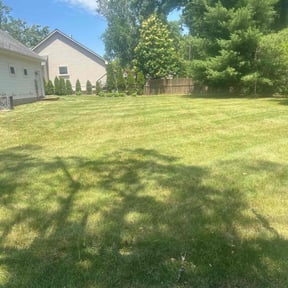 grass maintenance by Southern Sunscapes reviewed on August 18, 2021