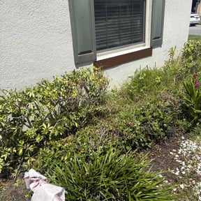 Bush Trimming by Kayon’s Lawn Care reviewed on August 17, 2026