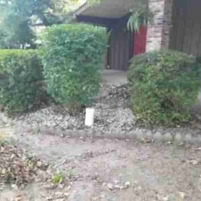 Bush Trimming by LOCAL Landscaping &amp; Lawn Maintenance reviewed on October 20, 2025