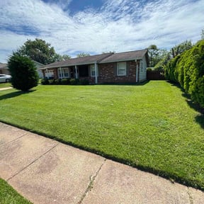 landscaping by SGP Lawn Services reviewed on January 5, 2026