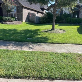 landscaping services by A.P. Lawn and Handyman services reviewed on August 19, 2025