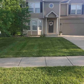 yard work by Forest Green Lawn &amp; Landscaping, LLC reviewed on November 23, 2025