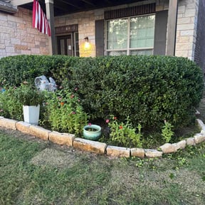 Bush Trimming by S.L.M reviewed on August 19, 2025