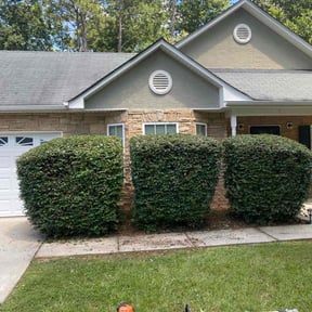 Bush Trimming by MelMar Lawn Care reviewed on August 20, 2025