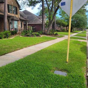 yard care by NextUp LawnCare reviewed on August 20, 2025
