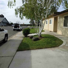 turf maintenance by JohnRobert Lawn&Garden reviewed on August 21, 2025