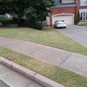 Leaf Removal by Southern Sunscapes reviewed on August 18, 2025