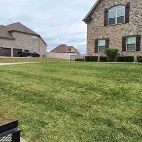 Bush Trimming by A Step Above Lawn Care LLC reviewed on August 20, 2025