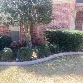 Bush Trimming by Top Lawn Companies, LLC reviewed on August 20, 2025