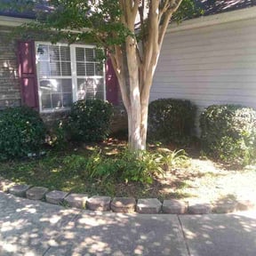 Bush Trimming by Burris Brothers Lawn Care reviewed on May 15, 2026