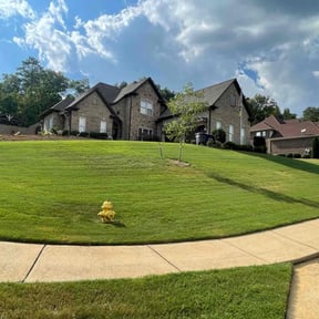 lawn care by Countryside lawn and garden reviewed on April 11, 2025