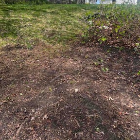 Leaf Removal by Handsof1 reviewed on July 25, 2026