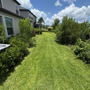yard work by lawn care reviewed on August 20, 2025