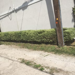 Bush Trimming by DeBerry Landscape LLC reviewed on August 17, 2025