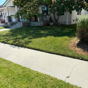 grass maintenance by Forever Green FG LLC reviewed on September 3, 2024