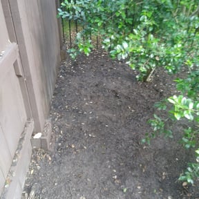 Leaf Removal by Saints lawn care reviewed on September 6, 2025