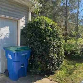 Bush Trimming by E-maculate Lawn  Care LLC reviewed on May 12, 2025