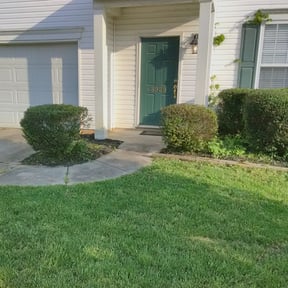 Bush Trimming by Rios' Best Lawn Care Services reviewed on August 20, 2025