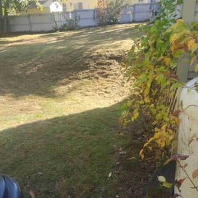 Bush Trimming by Jeff Kreiger Gardening reviewed on April 9, 2023