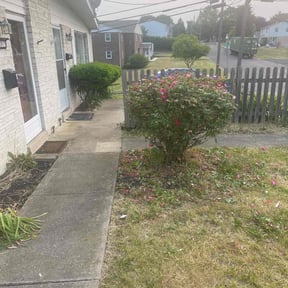Bush Trimming by R&B Lawncare reviewed on August 16, 2025