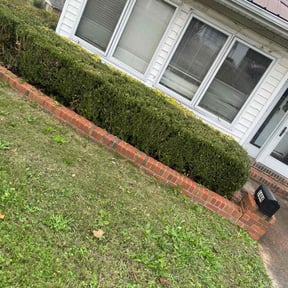 Bush Trimming by Jerrys Lawn Service reviewed on August 17, 2025