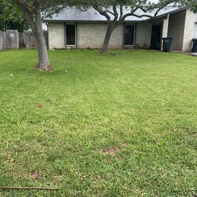 yard maintenance by Team Bard Lawn Care SVC reviewed on August 20, 2025