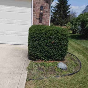 Bush Trimming by Haywood's Lawn Care reviewed on August 1, 2026