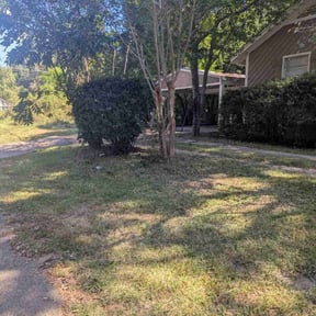 Bush Trimming by The Eighth Dimension, A.I.E reviewed on November 5, 2025