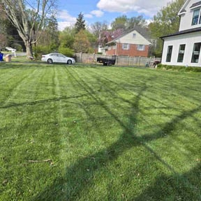 yard work by Just us landscaping LLC reviewed on August 19, 2025