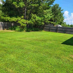 residential landscaping by Green Hands Landscaping reviewed on August 19, 2025