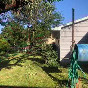 Bush Trimming by Chuyin's Lawn Care LLC reviewed on August 20, 2025