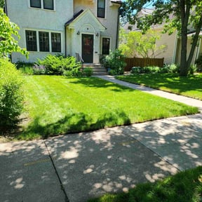 lawn care by Azamar landscaping & construction reviewed on August 17, 2025
