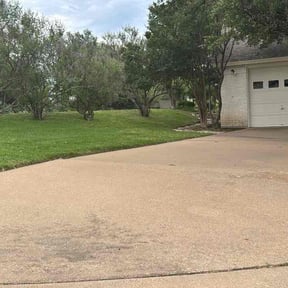 Leaf Removal by Leonardo castro reviewed on June 2, 2026