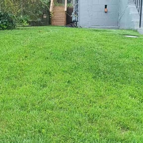 yard work by Yanez Brothers Landscaping reviewed on August 18, 2025