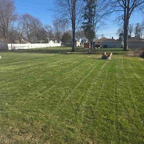 Leaf Removal by Harry's Champion Landscaping reviewed on April 15, 2026