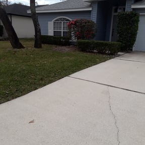 Bush Trimming by Early Risers Lawncare Service reviewed on August 20, 2025