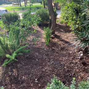 Flower Bed Weeding by Pearson's Landscaping reviewed on August 19, 2025